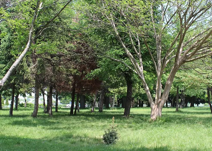 Youth Centre 假日公园 普罗夫迪夫